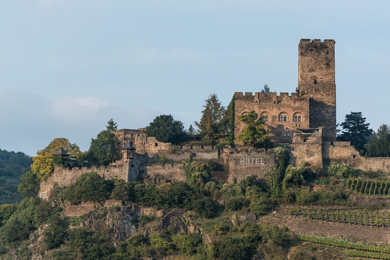 Burg Gutenfels